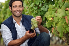 ASSEGURANCES PER CELLERS I COOPERATIVES - ASSESSOR EN ASSEGURANCES